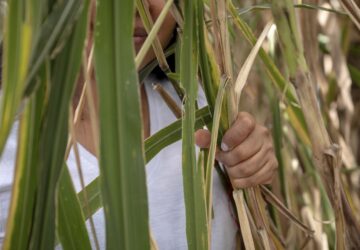 Colombia Indigenous Youth Recruitment
