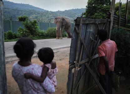 Pictures of the Week Global Photo Gallery