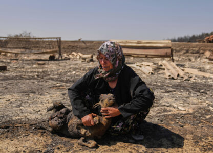 Pictures of the Week Global Photo Gallery
