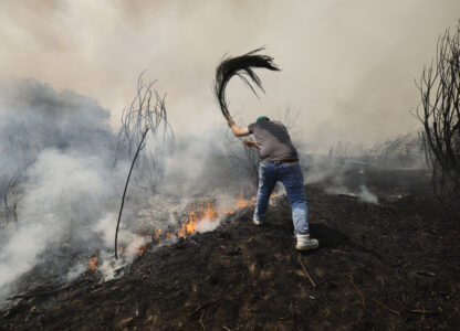 Pictures of the Week Global Photo Gallery