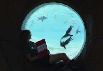 Pictures of the Week Global Photo Gallery
