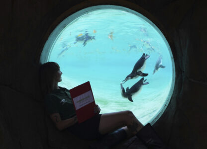 Pictures of the Week Global Photo Gallery