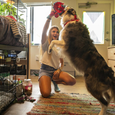 Be Well Education Pet Friendly Dorms