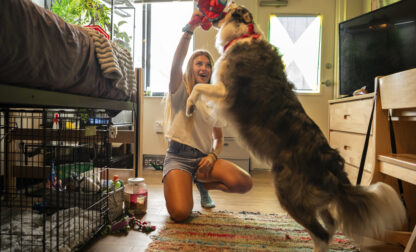Be Well Education Pet Friendly Dorms