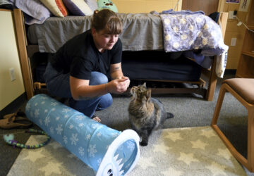 Be Well-Education-Pet-Friendly Dorms