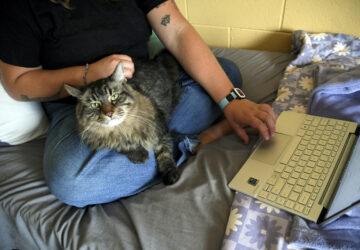 Be Well-Education-Pet-Friendly Dorms