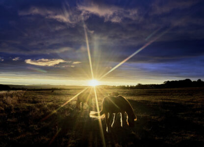 Pictures of the Week Global Photo Gallery