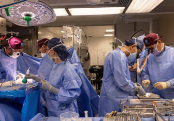 Pig Kidney Transplant