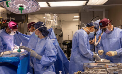 Pig Kidney Transplant