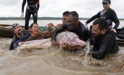 APTOPIX Colombia Amazon Dolphins Mercury