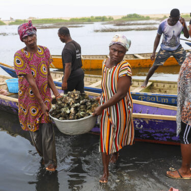 Ghana Women Oyster Farming