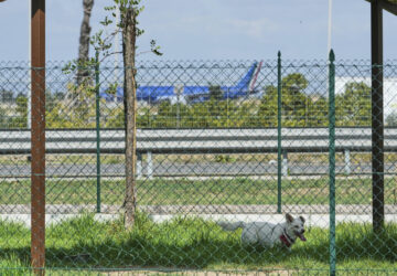 Italy Airport Dog Hotel