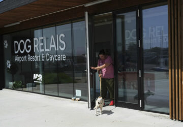 Italy Airport Dog Hotel