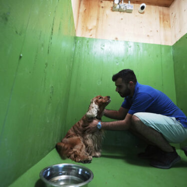 Italy Airport Dog Hotel