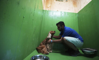 Italy Airport Dog Hotel