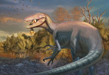Clawed Dinosaur