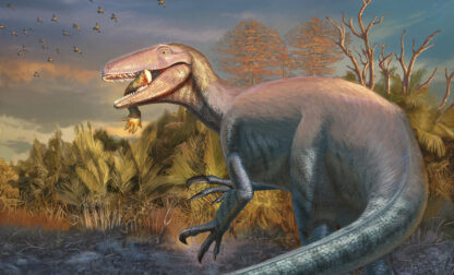 Clawed Dinosaur