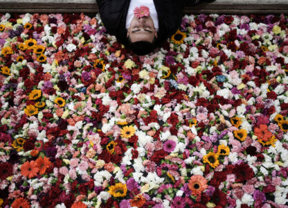 Pictures of the Week Global Photo Gallery