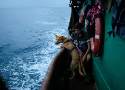 Pictures of the Week Global Photo Gallery