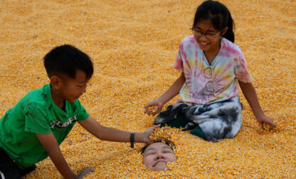 Giant Corn Maze