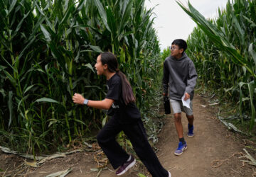 Giant Corn Maze