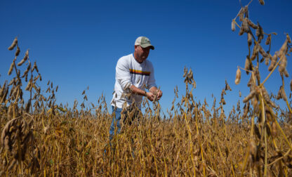 US China Soybeans