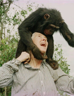 Obit Jane Goodall
