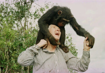 Obit Jane Goodall