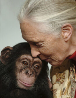 Obit Jane Goodall