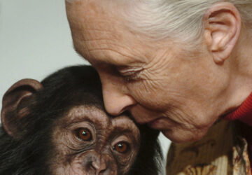 Obit Jane Goodall