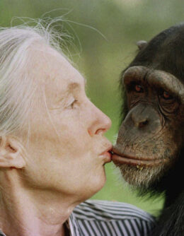 Obit Jane Goodall