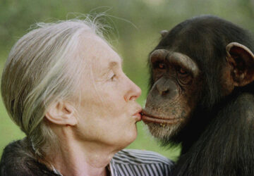 Obit Jane Goodall