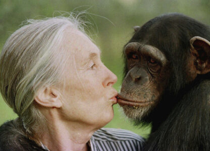 Obit Jane Goodall