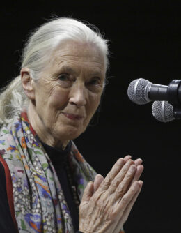 Obit Jane Goodall