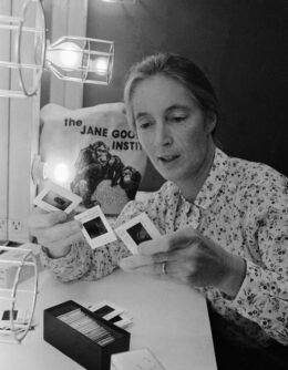 Obit-Jane Goodall