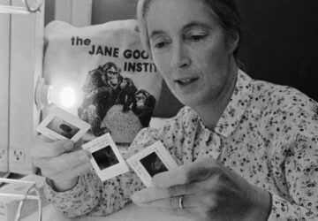 Obit-Jane Goodall