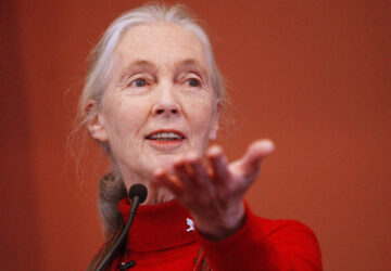Obit-Jane Goodall
