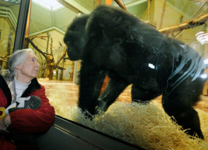 Obit Jane Goodall