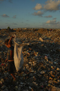 Pictures of the Week Global Photo Gallery