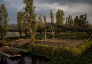Climate Mexico Ancient Farms Women