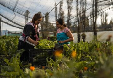 Climate Mexico Ancient Farms Women