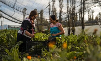 Climate Mexico Ancient Farms Women
