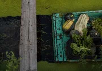 Climate Mexico Ancient Farms Women