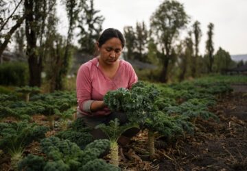Climate Mexico Ancient Farms Women