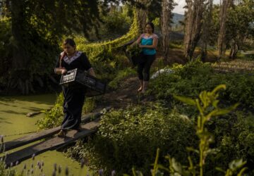 Climate Mexico Ancient Farms Women