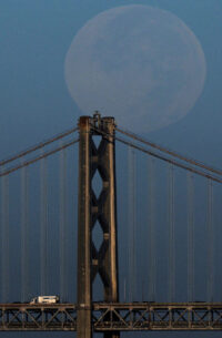 Pictures of the Week Global Photo Gallery