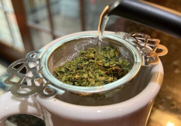 Gardening- Using Food Scraps