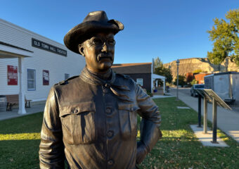 Roosevelt Library Isolation