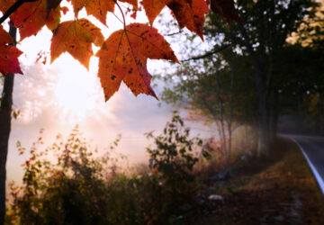 APTOPIX New Hampshire Daily Life