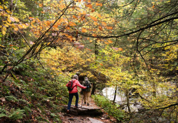 Fall Foliage-Pennsylvania